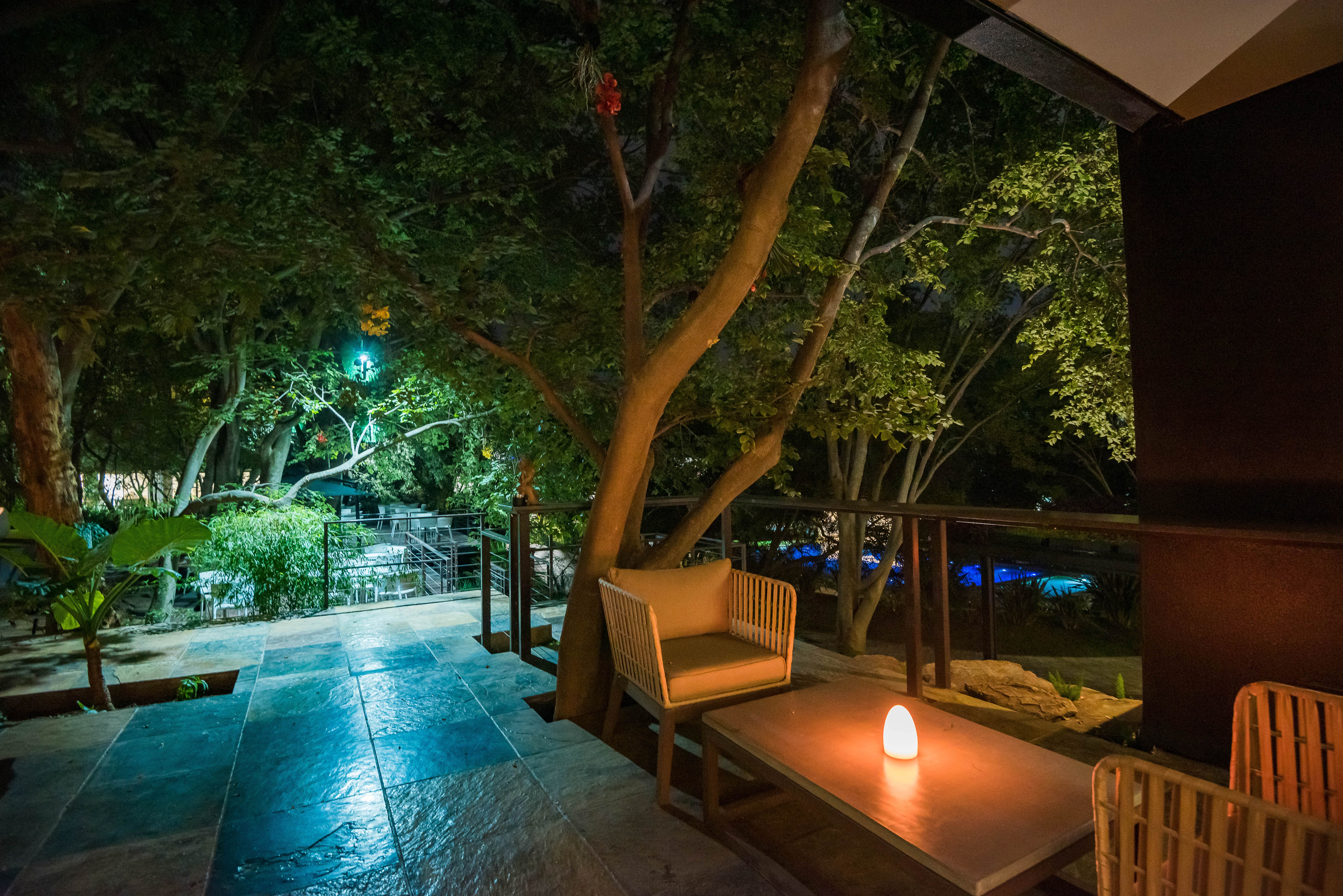 Surrounds and restaurants 2020-99-min