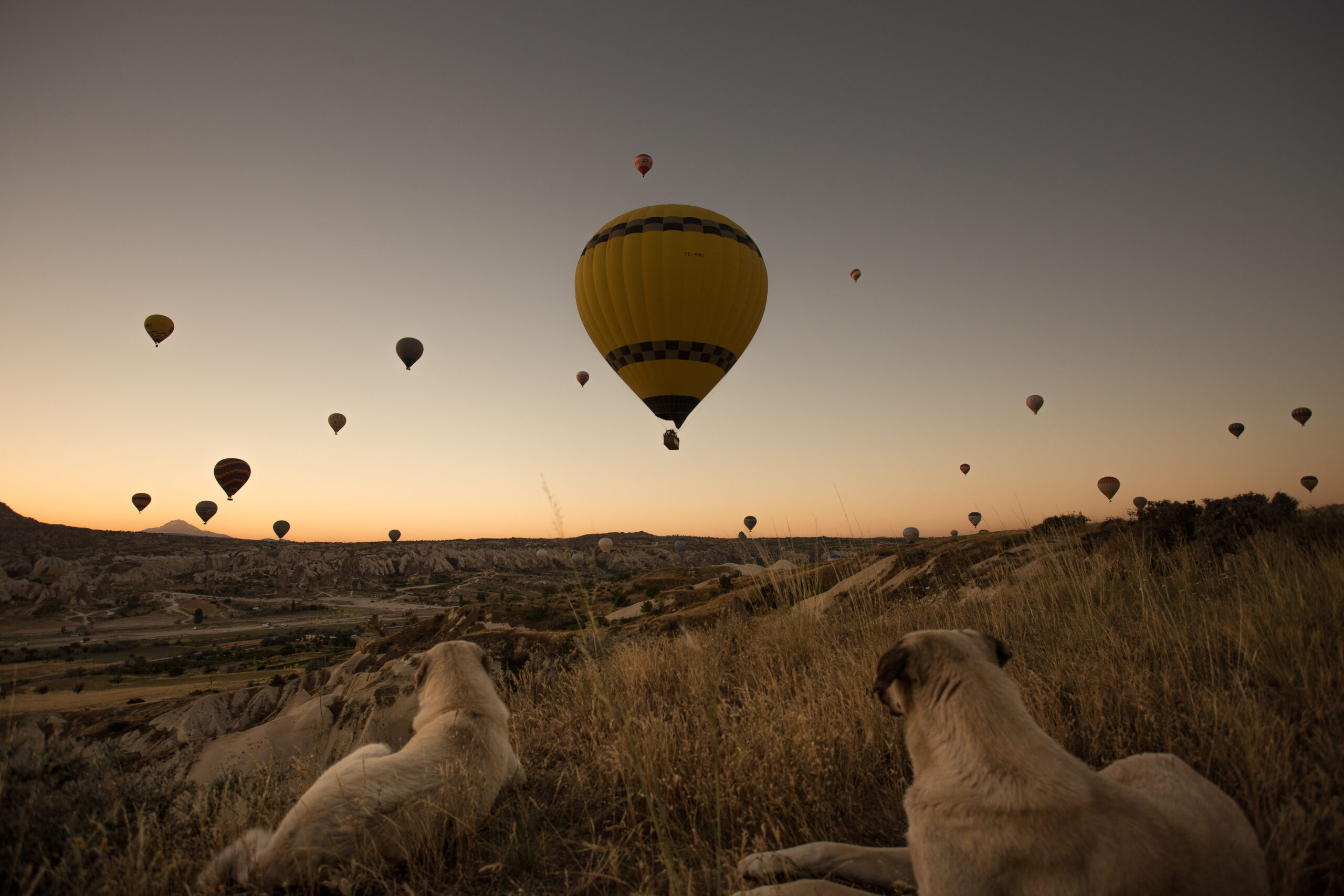 hot air balloon